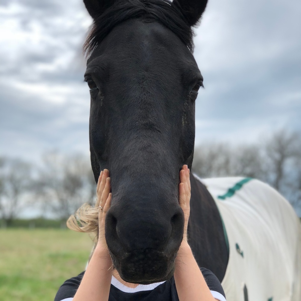 Meet your Posher, Cecile